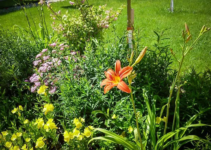 Appartement Waterpark Fort