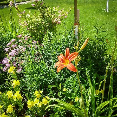 Apartament Waterpark